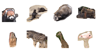 Poor joke of various animals