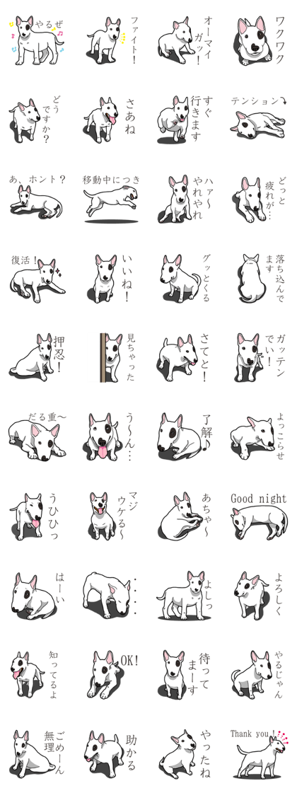 Daily Bull terrier