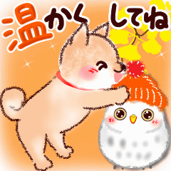 Shiba Inu and Owl