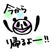Daily use PANDA