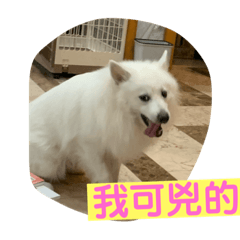 阿寶の生活趣