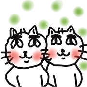 White CAT -japanese cat- 11