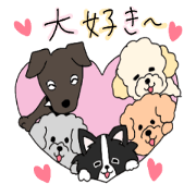 cute five dogs