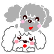 Poodle brother