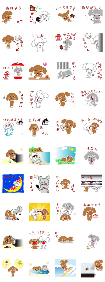 Poodle brother