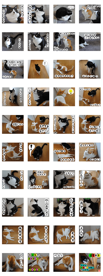 sticker japan cat&gin Photo version 1