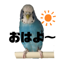 kazuki_20201010114107