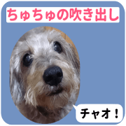 Chuchu's sticker 2