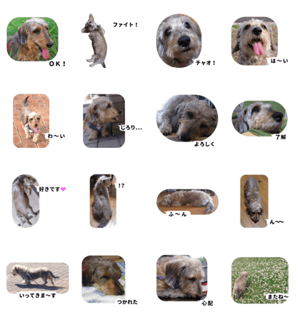 Chuchu's sticker 2
