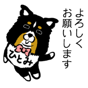 Hitomi dog