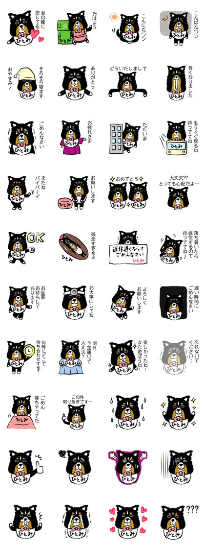 Hitomi dog