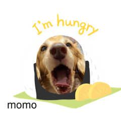 ayumi_20201009225854