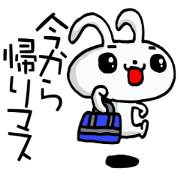 Basic white rabbit