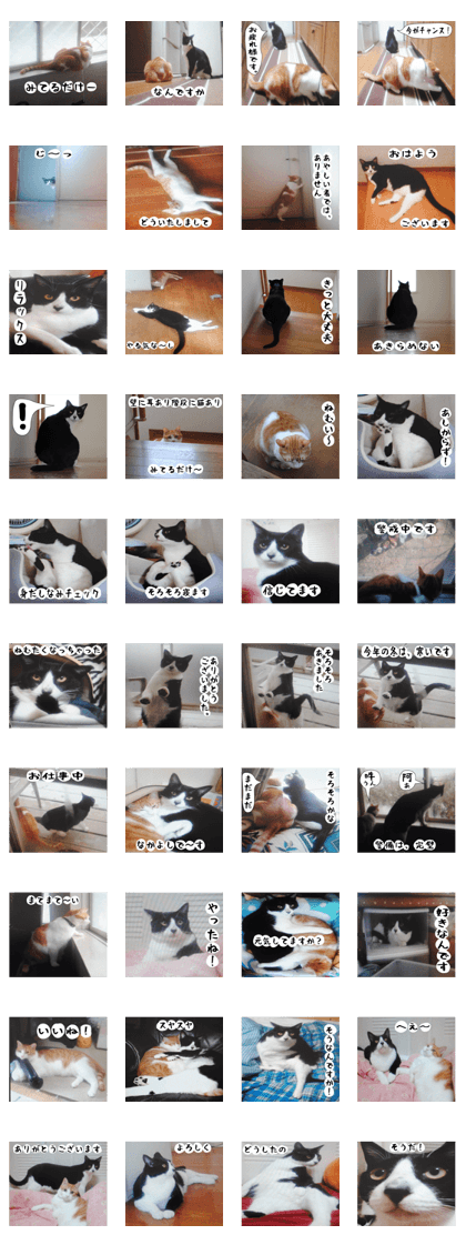 sticker japan cat&gin Photo version 2