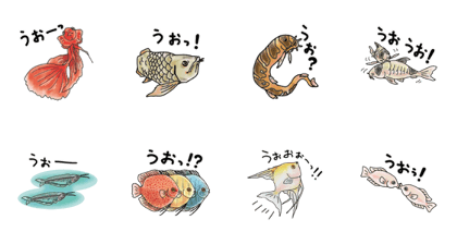 Tropical fish of cure