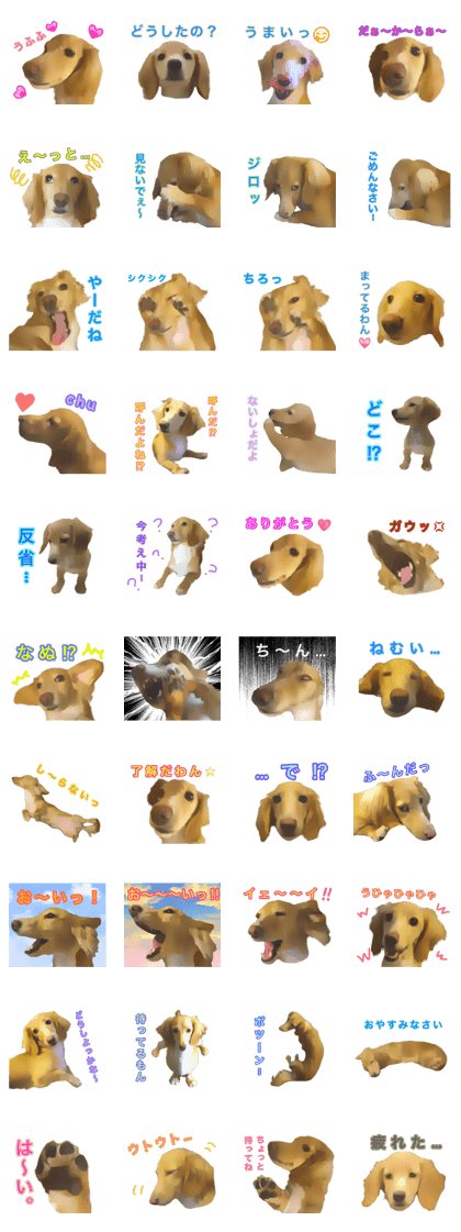 Minuature dachshund
