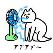 The cat called Yoshio