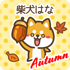 Shiba Hana in Autumn