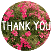 Convey a thank you along with the flower