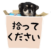 TAKU of Chihuahua