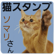 Cat sticker Somali