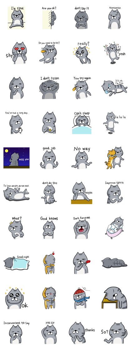 cold cool cat