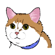 pretty pretty cats!