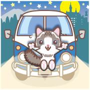 Ragdoll of a blue eye and station wagon.