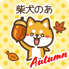 Shiba Noa in Autumn