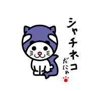 Shachineko