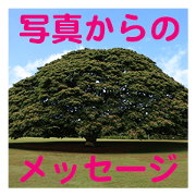 Message with photos