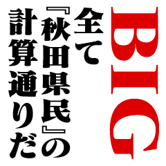 "AKITAKENMIN"Calculation/name/BIG