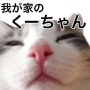 the sticker of the cute cat