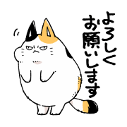 Miken the Cat