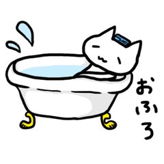 Everyday  Sticker of cat