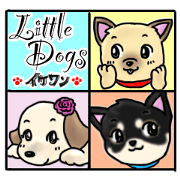 IKEWAN!-Yorkie & his friends -