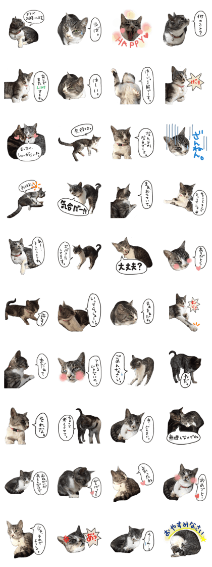 Another of my cat sticker.