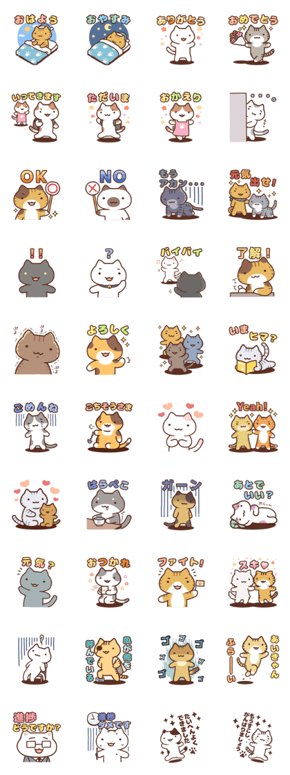 Energetic Cats!
