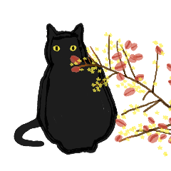 Black cat and Gold-rain tree