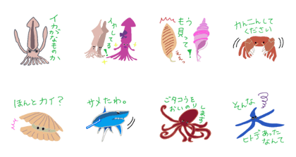 Squid gang