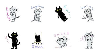 Cats ZORODARU stickers 3