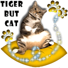 Tiger But Cat ~ Part 1