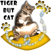 Tiger But Cat ~ Part 1