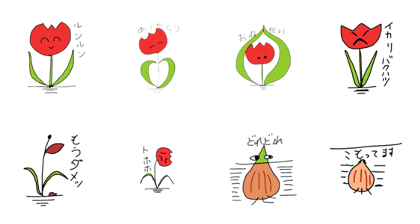 Chaco's tulip