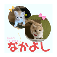 alice_20201011001228