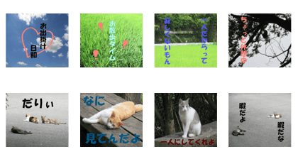 cat and landscape