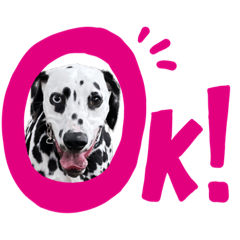 Akiko_20201010184258