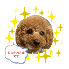 YUTO_20201010194953