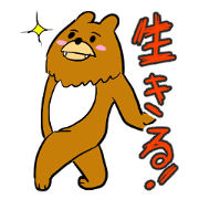 This bear is annoying This bear is annoying