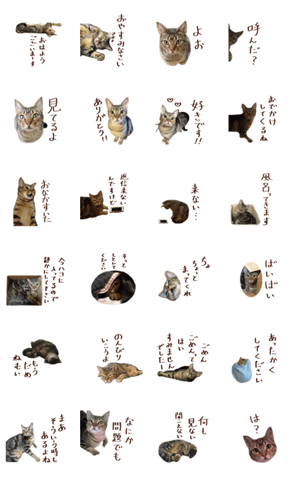 Ichimaru sticker of cat